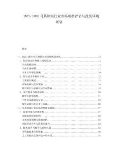 2025-2030馬其頓銀行業市場現狀評估與投資環境規劃