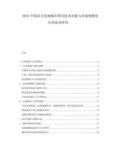 2025中國動力電池梯次利用技術突破與市場規模化應用前景研究