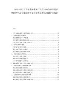 2025-2030馬耳他金融服務行業市場如今客戶需求供給調研及行業經濟資金投資收益增長規劃分析報告