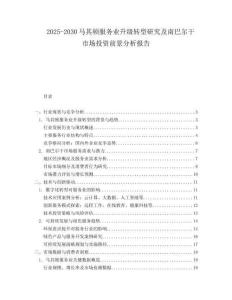 2025-2030馬其頓服務業升級轉型研究及南巴爾干市場投資前景分析報告