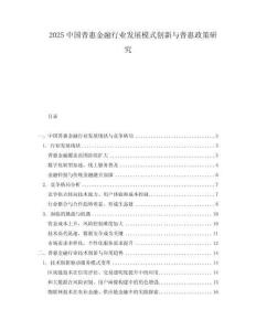 2025中國普惠金融行業(yè)發(fā)展模式創(chuàng)新與普惠政策研究