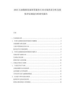 2025石油勘探設備租賃服務行業市場供需分析及投資評估規劃分析研究報告