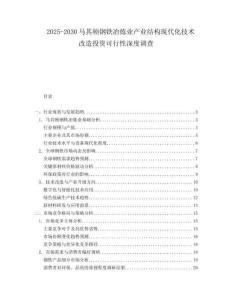 2025-2030馬其頓鋼鐵冶煉業產業結構現代化技術改造投資可行性深度調查
