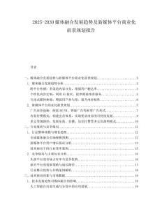 2025-2030媒體融合發展趨勢及新媒體平臺商業化前景規劃報告