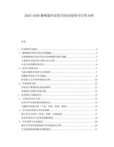 2025-2030貓咪銀河星際空間站投資可行性分析