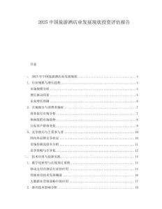 2025中國旅游酒店業發展現狀投資評估報告