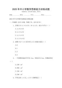 2025年中小學數學思維能力訓練試題