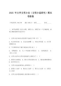 2025 年大學文明小史（文明小說研究）期末考核卷