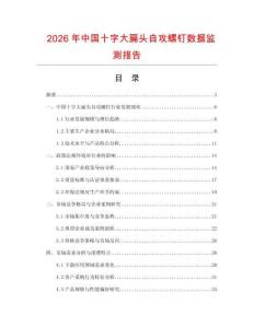 2026年中國(guó)十字大扁頭自攻螺釘數(shù)據(jù)監(jiān)測(cè)報(bào)告