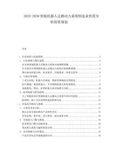 2025-2030智能機器人足踏動力系統制造業供需分析投資規劃