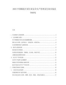 2025中國煤炭開采行業(yè)安全生產(chǎn)管理及行業(yè)市場競爭研究