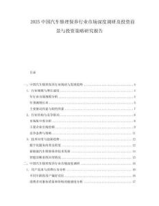 2025中國汽車修理保養(yǎng)行業(yè)市場深度調(diào)研及投資前景與投資策略研究報告