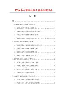 2026年中國路軌探頭數據監測報告