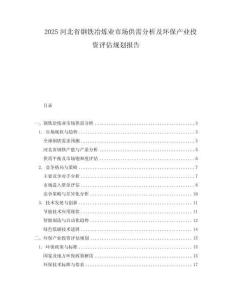 2025河北省鋼鐵冶煉業市場供需分析及環保產業投資評估規劃報告