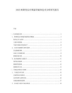 2025核聚變反應堆超導磁體技術分析研究報告