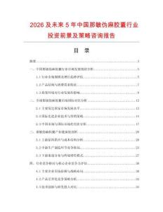 2026及未來(lái)5年中國(guó)那敏偽麻膠囊行業(yè)投資前景及策略咨詢報(bào)告