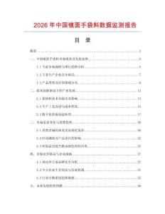 2026年中國(guó)鏡面手袋料數(shù)據(jù)監(jiān)測(cè)報(bào)告