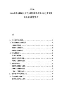 2025-2030智能電網建設項目市場供需分析及未來投資發展趨勢規劃研究報告