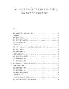 2025-2030美国新能源汽车市场需求现状分析及未来发展趋势评价规划研究报告