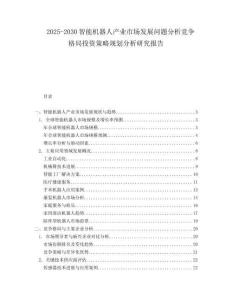 2025-2030智能机器人产业市场发展问题分析竞争格局投资策略规划分析研究报告
