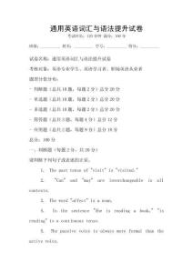 通用英語詞匯與語法提升試卷