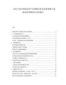2025-2030智能電網(wǎng)產(chǎn)業(yè)規(guī)模分析及發(fā)展策略與發(fā)展前景預(yù)測研究分析報告