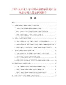 2025及未來5年中國水溶質感發泥市場現狀分析及前景預測報告