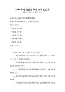 2025年稅收籌劃策略考試及答案