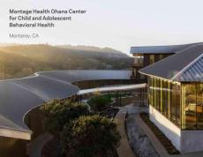 Ohana for AIA Interior Awards