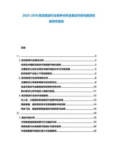 2025-2030航空旅游行業競爭分析及客運市場與旅游創新研究報告