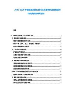 2025-2030中國管道運輸行業市場深度調研及發展趨勢和前景預測研究報告