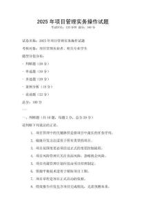 2025年項目管理實務操作試題