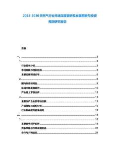 2025-2030天然氣行業市場深度調研及發展前景與投資預測研究報告