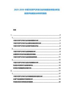 2025-2030卡塔爾天然氣開采行業市場現狀供需分析及投資評估規劃分析研究報告