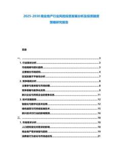2025-2030商業地產行業風險投資發展分析及投資融資策略研究報告