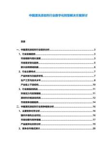 中國漂洗添加劑行業數字化轉型解決方案探討