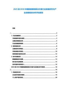 2025至2030中國數(shù)據(jù)擦除解決方案行業(yè)發(fā)展研究與產(chǎn)業(yè)戰(zhàn)略規(guī)劃分析評估報告