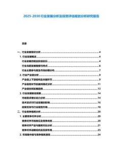 2025-2030行業(yè)發(fā)展分析及投資評(píng)估規(guī)劃分析研究報(bào)告