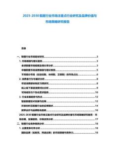 2025-2030鞋履行業市場注重點行業研究及品牌價值與市場策略研究報告