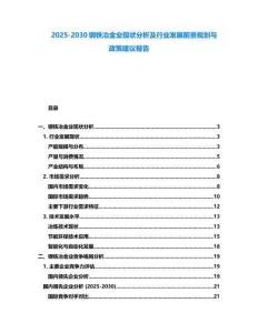 2025-2030鋼鐵冶金業(yè)現(xiàn)狀分析及行業(yè)發(fā)展前景規(guī)劃與政策建議報(bào)告
