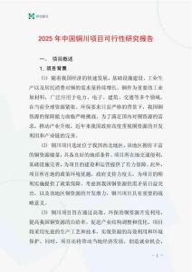 2025年中國銅川項目可行性研究報告