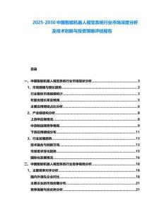 2025-2030中國(guó)智能機(jī)器人視覺系統(tǒng)行業(yè)市場(chǎng)深度分析及技術(shù)創(chuàng)新與投資策略評(píng)估報(bào)告