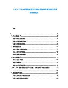 2025-2030中國氫能源汽車基礎(chǔ)設(shè)施布局規(guī)劃及投資風(fēng)險評估報告