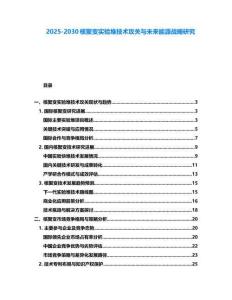 2025-2030核聚變實驗堆技術攻關與未來能源戰略研究