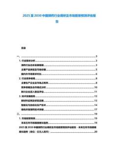 2025至2030中国弹药行业调研及市场前景预测评估报告