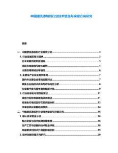 中国漂洗添加剂行业技术壁垒与突破方向研究