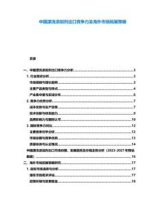 中國漂洗添加劑出口競爭力及海外市場拓展策略