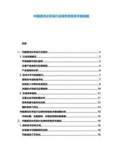 中國漂洗化學品行業綠色轉型技術路線圖
