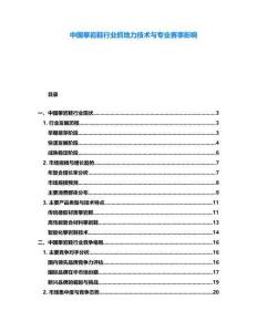 中國攀巖鞋行業(yè)抓地力技術(shù)與專業(yè)賽事影響