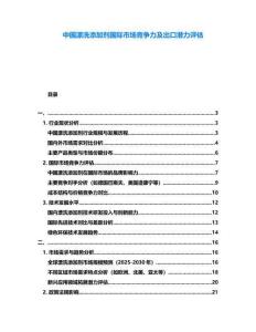 中国漂洗添加剂国际市场竞争力及出口潜力评估